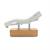 LETTINO EVO PLUS NOCE LIGHT V23